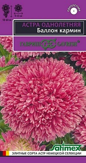 Астра густомахровая Баллон кармин, однолетняя, 0,05 г. Эксклюзив