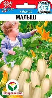 Кабачок Малыш, 5 шт.