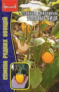 Солянум Эфиопикум  "Золотые Яйца", 12 шт. 