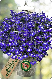 Лобелия кустовая Долли Блю Вит Ай, 10 шт. Биотехника