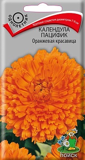 Календула Пацифик Оранжевая красавица, 1 г
