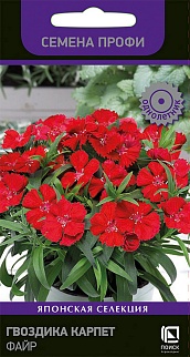 Гвоздика Карпет Файр, 10 шт. Семена профи
