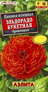 Цинния Эльдорадо букетная бронзовая, 12 шт.