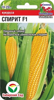 Кукуруза Спирит F1, 5 шт. Сибирский сад