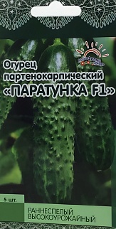 Огурец Паратунка F1, 5 шт. Лето.