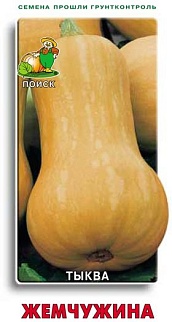 Тыква мускатная Жемчужина, 10 шт.