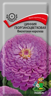 Цинния георгиноцветковая Фиолетовая королева, 0,4 г