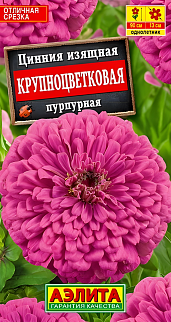 Цинния изящная Крупноцветковая, пурпурная, 0,3 г