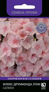 Флокс друммонда Этни Салмон, 10 шт. Семена профи.