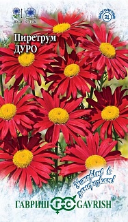 Пиретрум Дуро, 0,2 г. Устойчив к заморозкам.