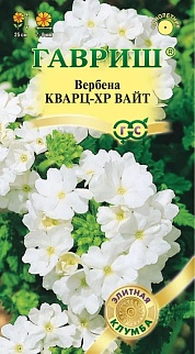Вербена Кварц XP Вайт, 5 шт. Элитная клумба. 