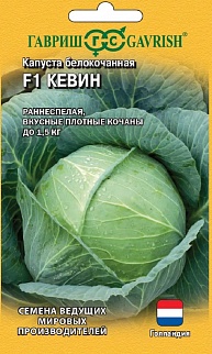 Капуста белокочанная Кевин F1, 10 шт. Голландия.