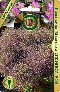 Гипсофила махровая Джипси Роз, ампельное, 4 шт. Биотехника