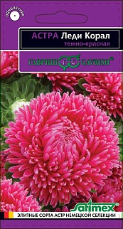 Астра Леди Корал темно-красная, розовидная, 0,05 г. Эксклюзив 