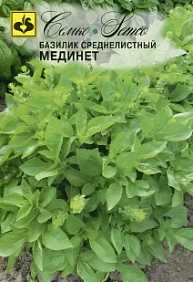 Базилик Мединет среднелистный, 1 г
