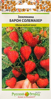 Земляника Барон Солемахер, 1 шт. РО