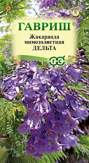 Жакаранда Дельта, 3 шт.