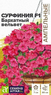 Сурфиния F1 Бархатный вельвет 5 шт. Ампельные шедевры