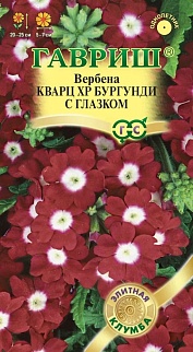 Вербена Кварц XP Бургунди с глазком, 5 шт. Элитная клумба.