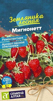 Земляника Мигнонетт ремонтантная, 8 шт.  