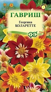 Георгина Коларетте, 0,2 г