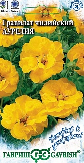 Гравилат Аурелия, 0,1 г. Устойчив к заморозкам.