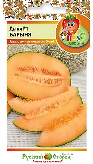 Дыня Барыня F1, 5 шт. 