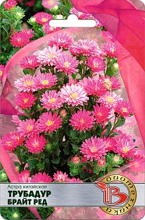 Астра китайская Трубадур Брайт Ред, 20 шт. Биотехника