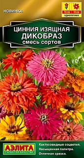 Цинния Дикобраз, смесь сортов, 0,3 г