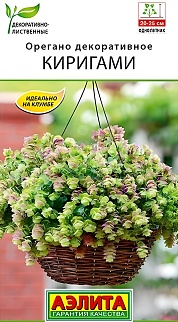 Орегано декоративное Киригами, 10 шт.