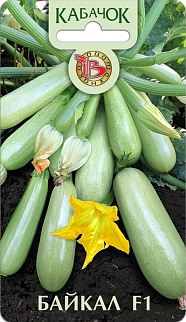 Кабачок Байкал F1, 5 шт. Биотехника.