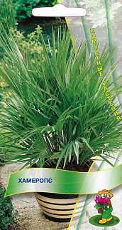 Хамеропс, 2 шт.