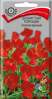 Душистый горошек Спенсер Красный, 1 г