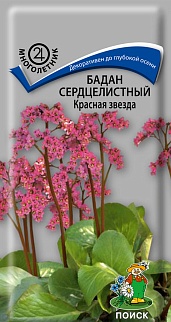 Бадан сердцелистный Красная звезда, 0,01 г