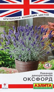 Лаванда декоративная Оксфорд, 0,1 г