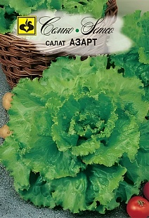 Салат полукочанный Азарт, 1 г. Семко.