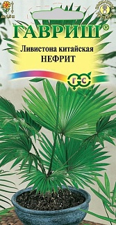 Ливистона китайская Нефрит, 3 шт.