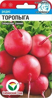 Редис Торопыга, 2 г. Сибирский сад