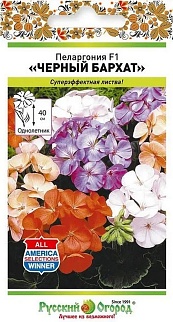 Пеларгония Черный Бархат, 5 шт. Русский огород