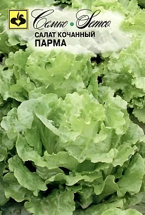 Салат кочанный Парма, 1 г