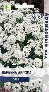 Вербена Аврора белая, 10 шт. Ароматный сад