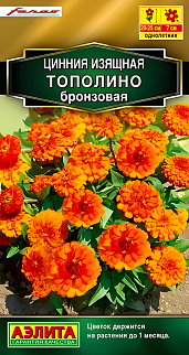 Цинния изящная Тополино, бронзовая, 12 шт.