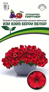 Петуния "Изи вэйв" Берри Велюр, каскадно-ампелная, 5 шт. 