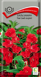 Бальзамин Том Самб скарлет, 0,1 г