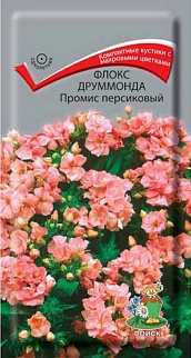 Флокс друммонда Промис персиковый, 10 шт.