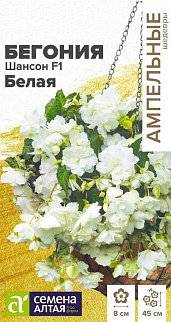 Бегония Шансон F1 Белая ампельная, 5 шт. Ампельные шедевры 