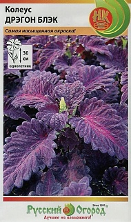 Колеус Дрэгон Блэк, 10 шт. Русский огород