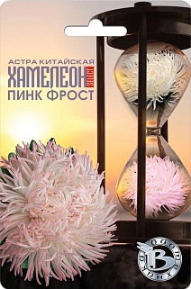 Астра китайская Хамелеон селект Пинк Фрост, 30 шт. Биотехника