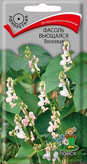 Фасоль вьющаяся лососевая, 5 шт.