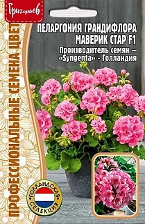 Пеларгония грандифлора Маверик Стар F1, 3 шт.